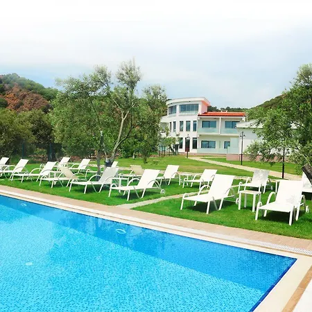 Altin * Assos
