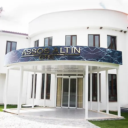 Altin