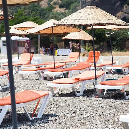 Altin Assos