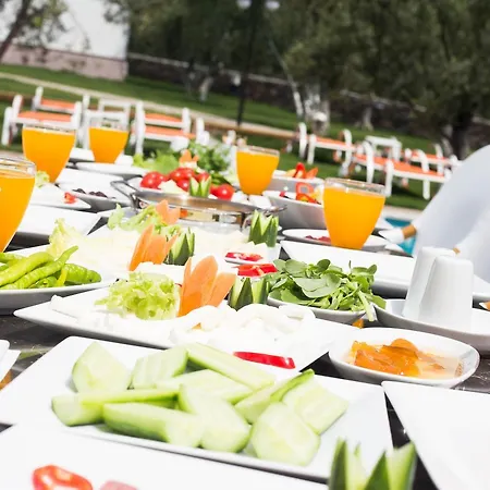 Altin Hotel
